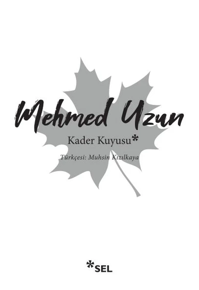 Kader Kuyusu ürün görseli 1