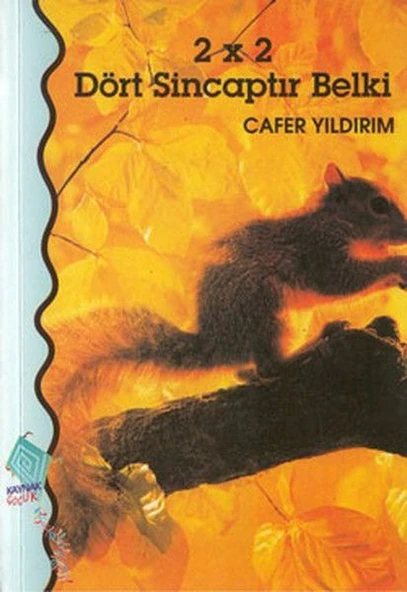 2 x 2 Dört Sincaptır Belki ürün görseli 1