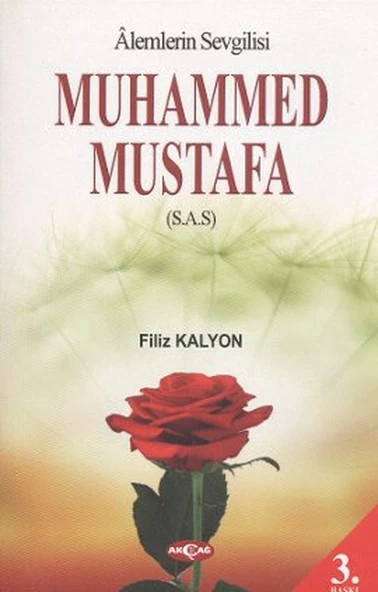 Mevlana ve Mesnevi Gerçeği ürün görseli 1