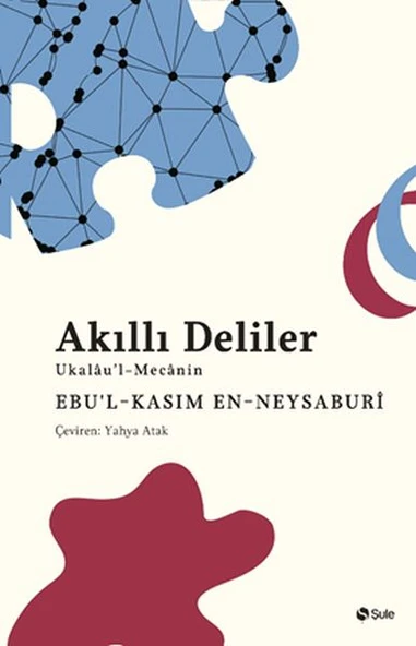 Akıllı Deliler Kitabı ürün görseli 1