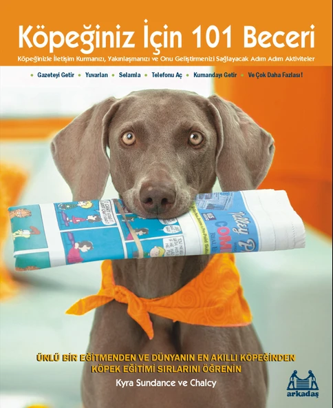 Köpeğiniz İçin 101 Beceri - Adım Adım Aktiviteler ürün görseli 1