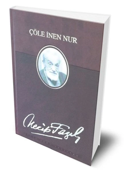 Çöle İnen Nur (Deri Ciltli) ürün görseli 1