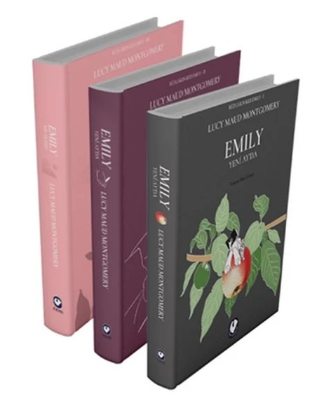 Rüzgârın Kızı Emily Serisi (3 Kitap) ürün görseli 1