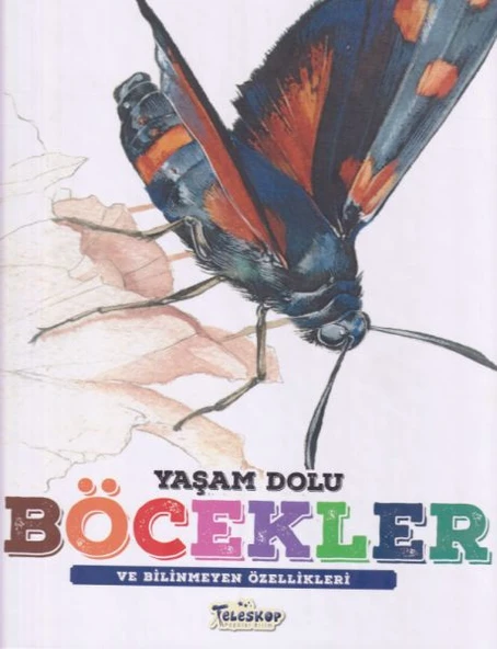 Yaşam Dolu Böcekler ürün görseli 1