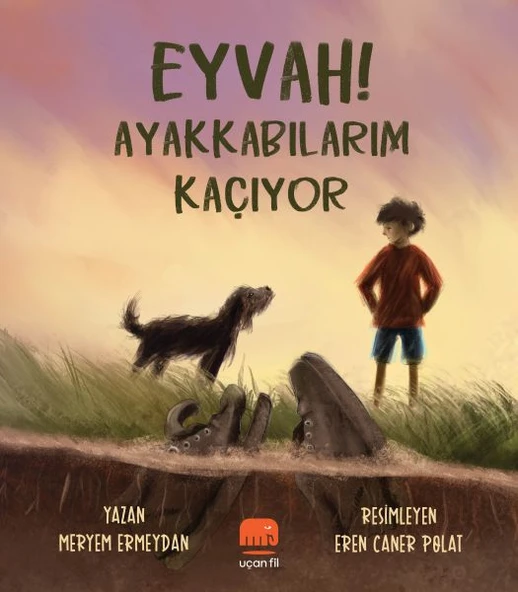 Eyvah! Ayakkabılarım Kaçıyor ürün görseli 1