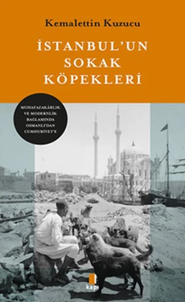İstanbul’un Sokak Köpekleri ürün görseli 1