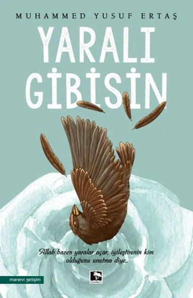 Yaralı Gibisin ürün görseli 1