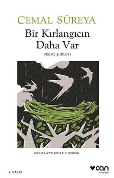 Bir Kırlangıcın Daha Var ürün görseli 1