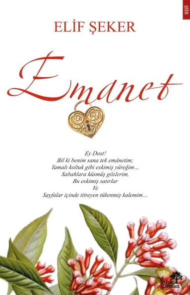 Emanet ürün görseli 1