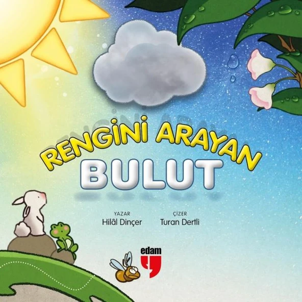 Rengini Arayan Bulut ürün görseli 1
