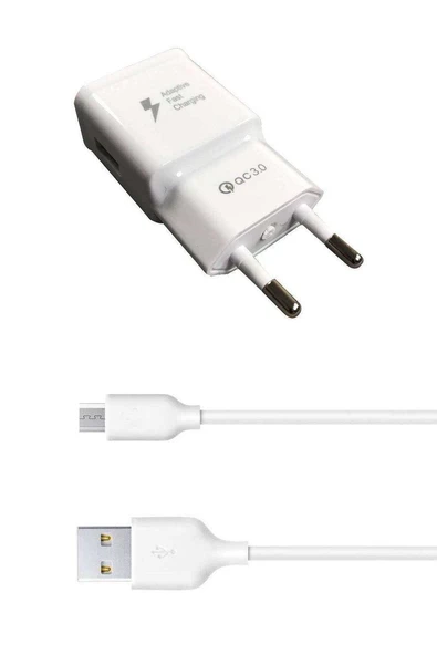 Android Mikro Uçlu Hızlı Şarj Aleti 3.1A 1 Metre Kablolu Hızlı Şarj Cihazı ürün görseli 1