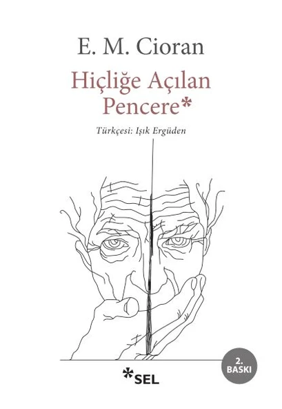 Hiçliğe Açılan Pencere ürün görseli 1