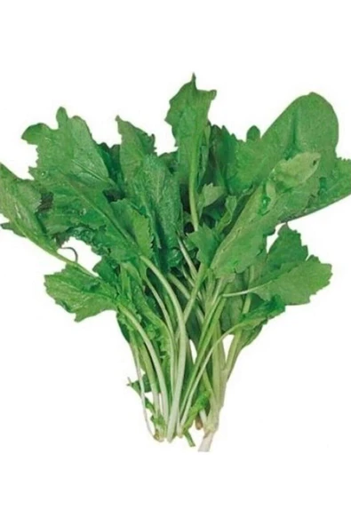 Tere Tohumu 10 Gr ürün görseli 1