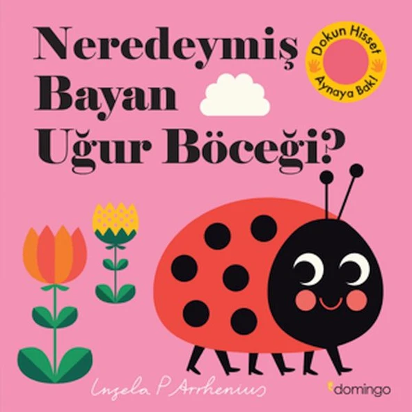 Neredeymiş Bayan Uğur Böceği? ürün görseli 1