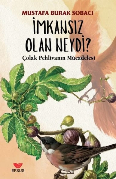 İmkansız Olan Neydi ürün görseli 1