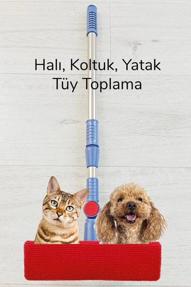 Kedi Köpek Sihirli Tüy Temizleme Fırçası 4 ü 1 Arada Döner Başlıklı ürün görseli 1