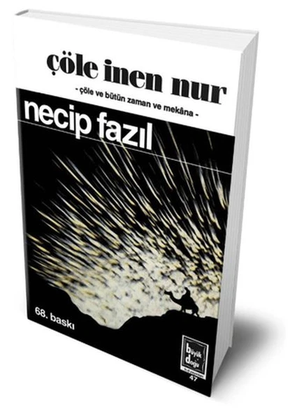 Çöle İnen Nur (Hatıra Baskısı) ürün görseli 1