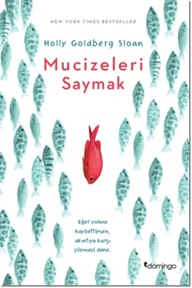 Mucizeleri Saymak ürün görseli 1