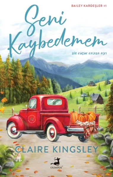Seni Kaybedemem ürün görseli 1
