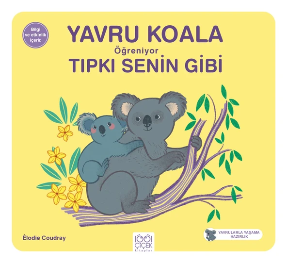 Yavru Koala Öğreniyor Tıpkı Senin Gibi ürün görseli 1