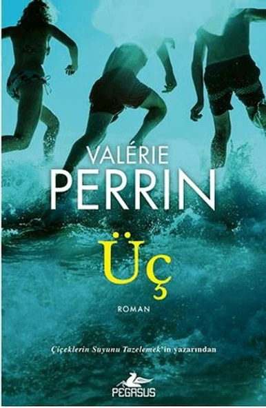 Üç ürün görseli 1