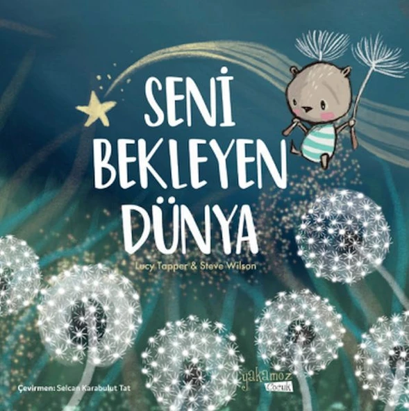 Seni Bekleyen Dünya ürün görseli 1