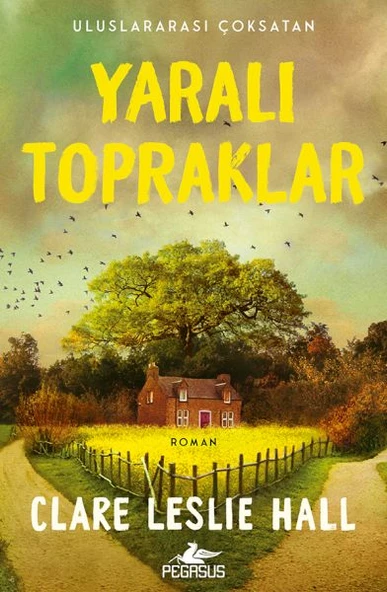 Yaralı Topraklar ürün görseli 1