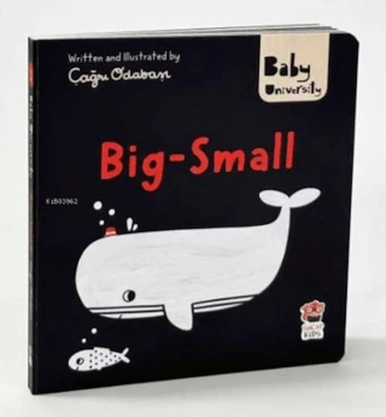 Big Small - Baby University First Concept Stories ürün görseli 1