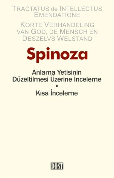 Anlama Yetisinin Düzeltilmesi Üzerine İnceleme ürün görseli 1
