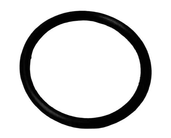 125Cg Manifold O-Ringi ürün görseli 1