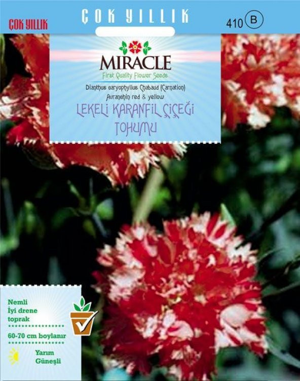 Miracle Avranchin Lekeli Karanfil Çiçeği Tohumu (190 tohum) ürün görseli 1
