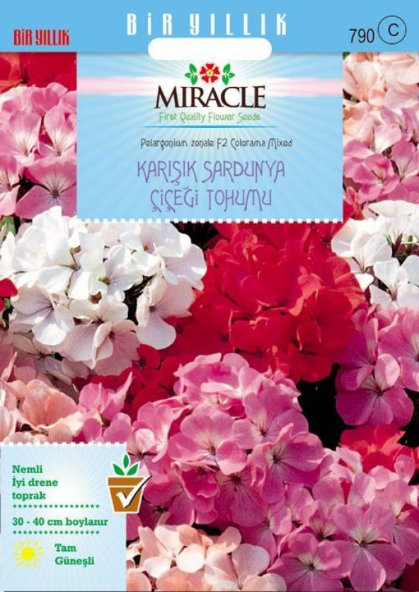 Miracle Colorama Karışık Renkli Hibrit Sardunya Çiçeği Tohumu (24 tohum) ürün görseli 1