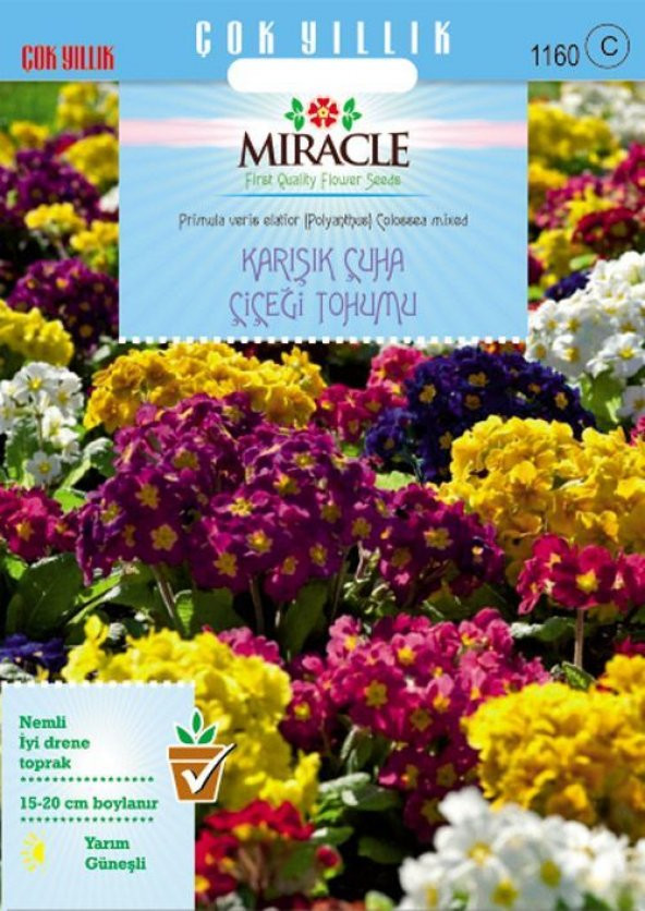 Miracle Karışık Renkli Onbir Ay Çuha Çiçeği Tohumu (50tohum) ürün görseli 1