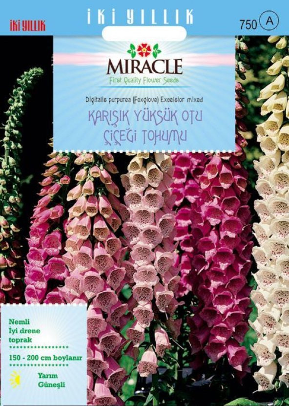 Miracle Excelsior Mixed Karışık Renkli Yüksükotu Çiçeği Tohumu (700 tohum) ürün görseli 1