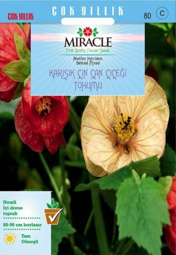 Miracle Karışık Renkli Çin Çan Çiçeği Tohumu (50 tohum) ürün görseli 1