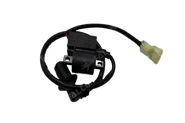 Dolphın 100-125 Efi Ateşleme Bobini ürün görseli 1