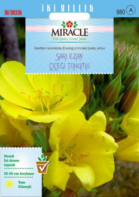 Miracle Ezan Çiçeği Tohumu (480 tohum) ürün görseli 1