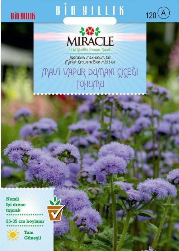 Miracle Ageratum Mexicanum Mavi Vapur Dumanı Çiçeği Tohumu (100 tohum) ürün görseli 1