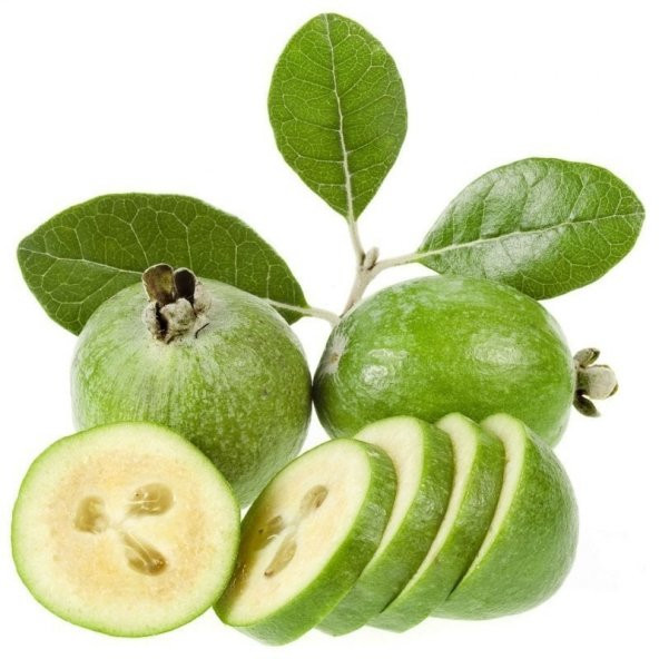 Feijoa (Kaymak Ağacı) Tohumu 5 adet ürün görseli 1
