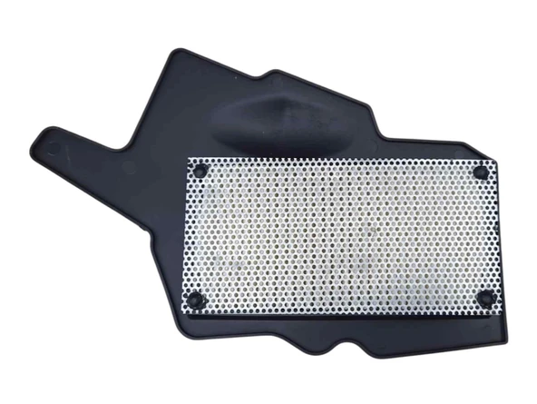 Tvs Raider 125 Hava Filtre Elemanı ürün görseli 1