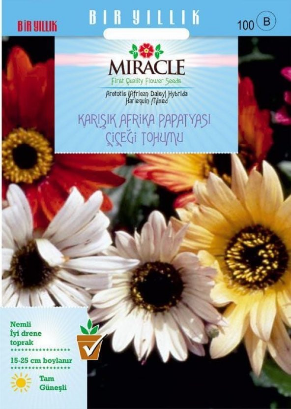 Miracle Karışık Renkli Afrika Papatyası Çiçeği Tohumu (30 tohum) ürün görseli 1