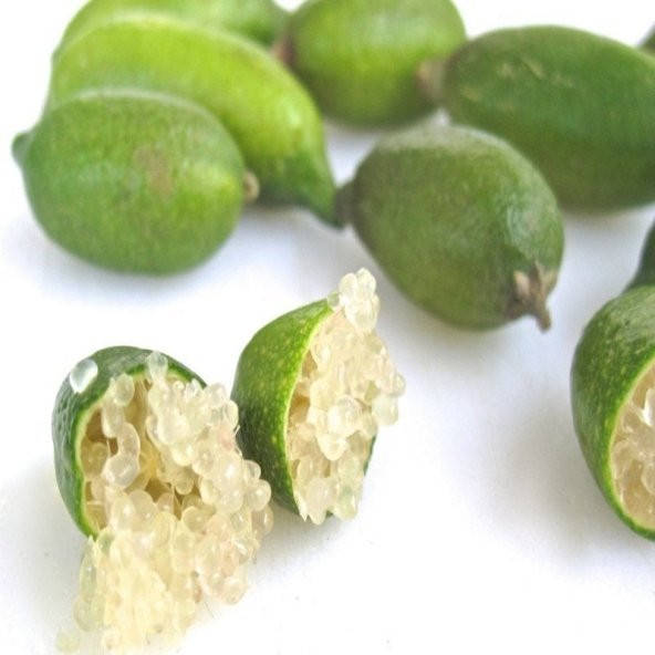 Finger Lime Tohumu (5 adet) ürün görseli 1