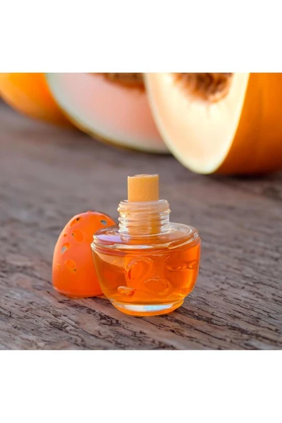 Kavanoz Koku Kavun Aromalı 100 ml ürün görseli 1
