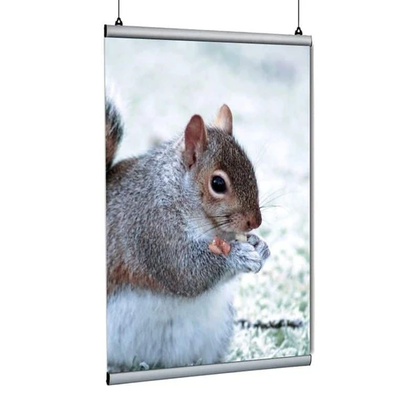 Poster Tutucu Clamp 100cm 10lu Paket ürün görseli 1