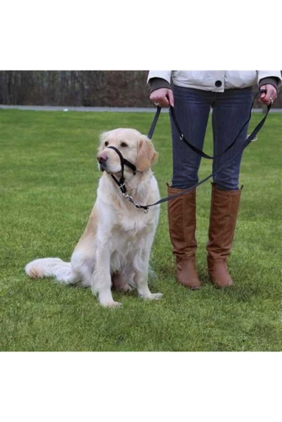 Trixie Uzman Köpek Eğitim Tasması 46cm XL - TRXIE ürün görseli 1