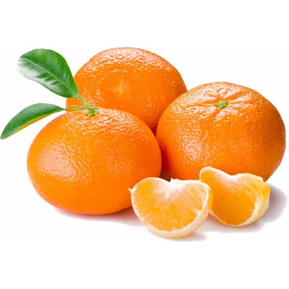 Tüplü Kokulu Çekirdeksiz Aromatik Okitsu Mandalina Fidanı ürün görseli 1