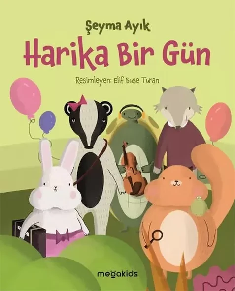 Harika Bir Gün ürün görseli 1