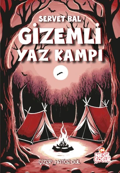 Gizemli Yaz Kampı ürün görseli 1