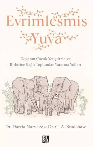 Evrimleşmiş Yuva ürün görseli 1