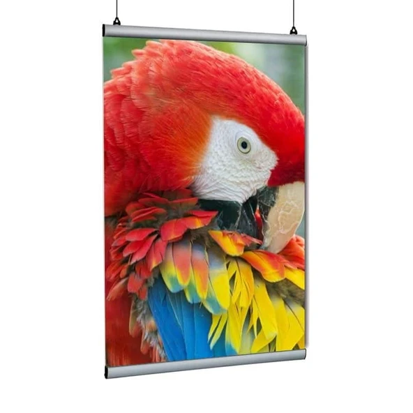 Poster Tutucu Clamp 70cm 10lu Paket ürün görseli 1